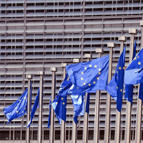  Congreso internacional “La UE y la protección de los derechos fundamentales”